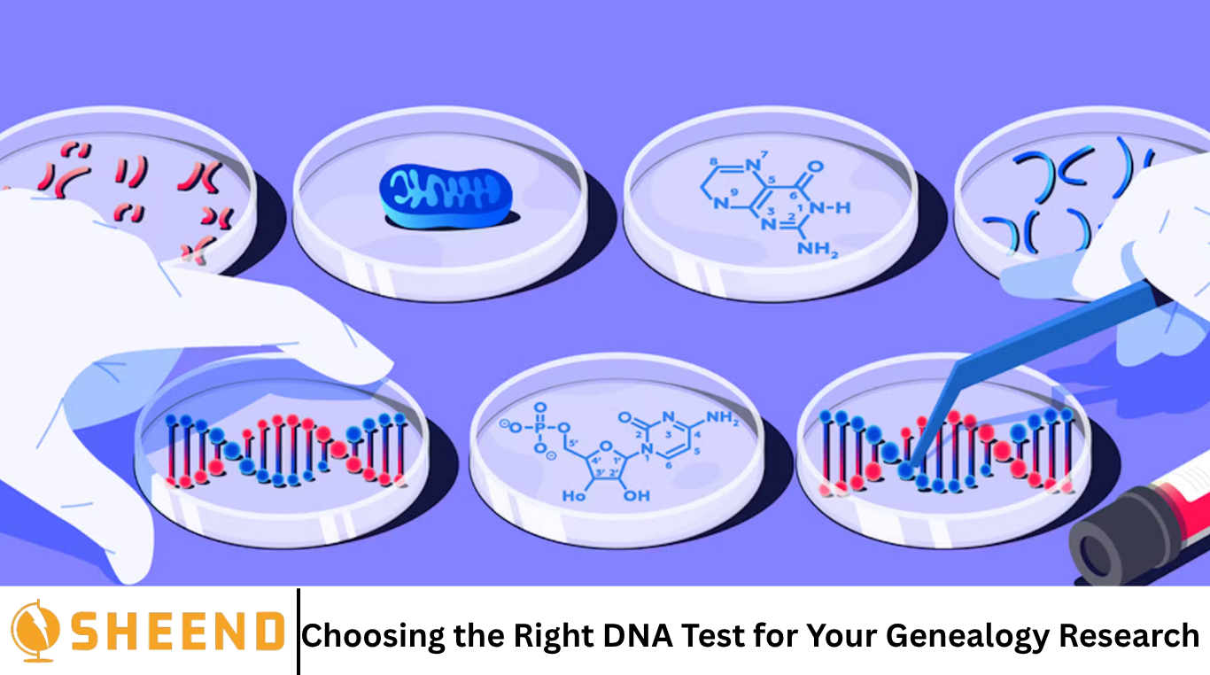 Choosing the Right DNA Test for Your Genealogy Research- Sheend